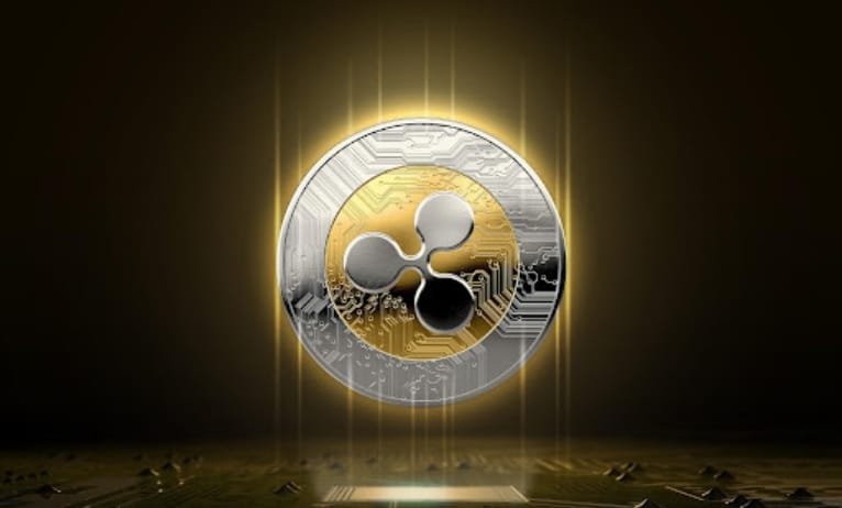 Why do crypto whales want DigiToads over XRP? Why do crypto whales want DigiToads over XRP?