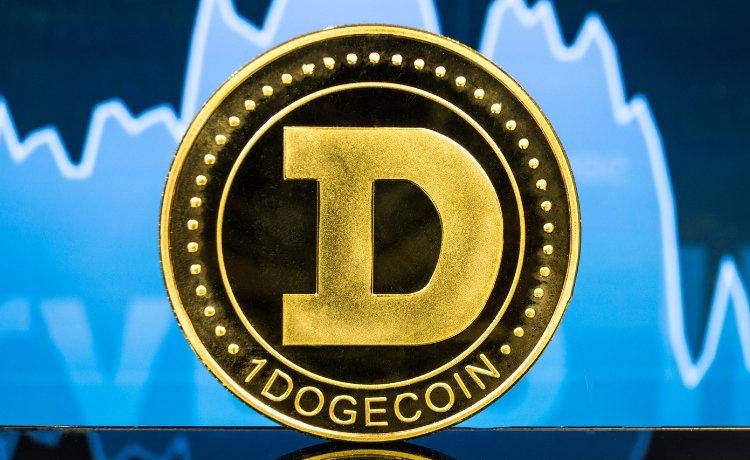 Dogecoin’s distinctive traits Past the Shiba Inu hype Dogecoin’s distinctive traits Past the Shiba Inu hype