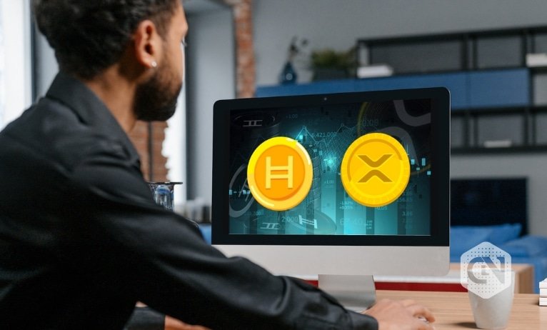 Traders divided: HBAR or XRP