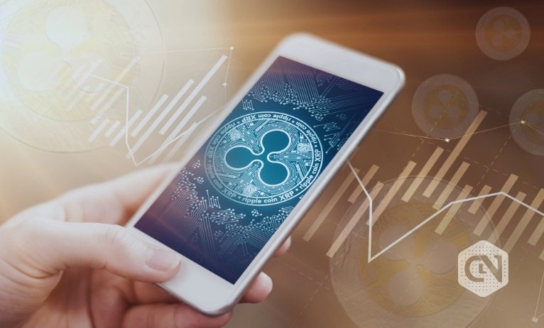 Ripple dance within the digital area: Traits and insights