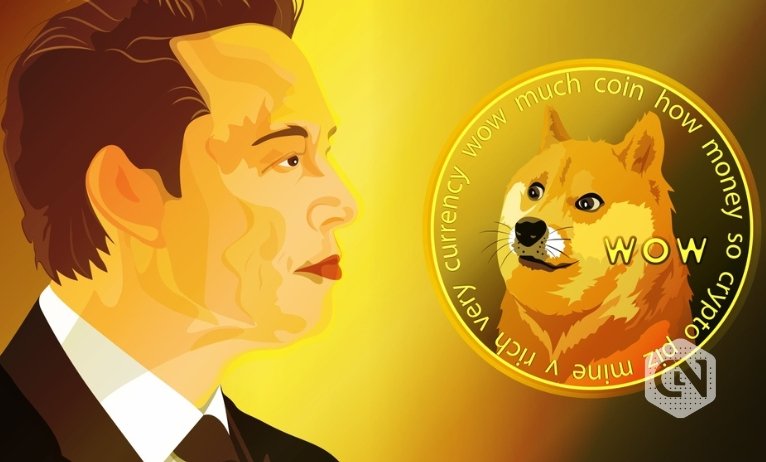 The Connection Between Elon Musk and Dogecoin The Connection Between Elon Musk and Dogecoin