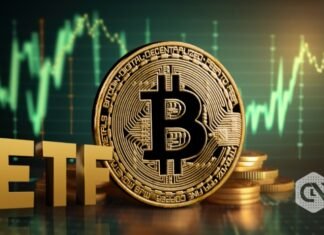 Bitcoin at essential stage $40k; What’s Subsequent: Bullish or Bearish?