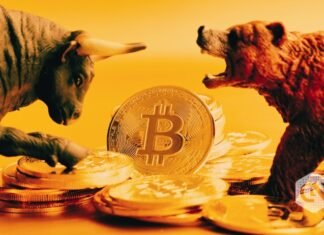 Decoding Bitcoin’s worth trajectory for yr 2024