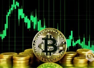 Bitcoin crossing $50k opens the house for $60k earlier than summer time