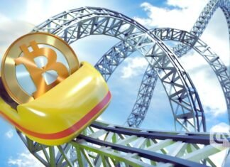 Hodl or Ditch Navigating the Bitcoin value rollercoaster in 2024
