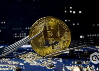 The Bitcoin neighborhood is in splits with forking