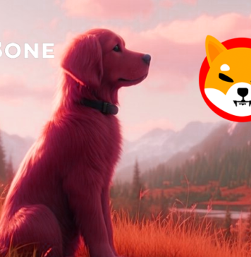 BONE skyrockets publish profitable ShibaSwap Shibarium integration