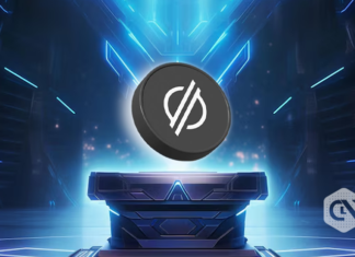 XLM’s thrilling improve Key options unveiled!