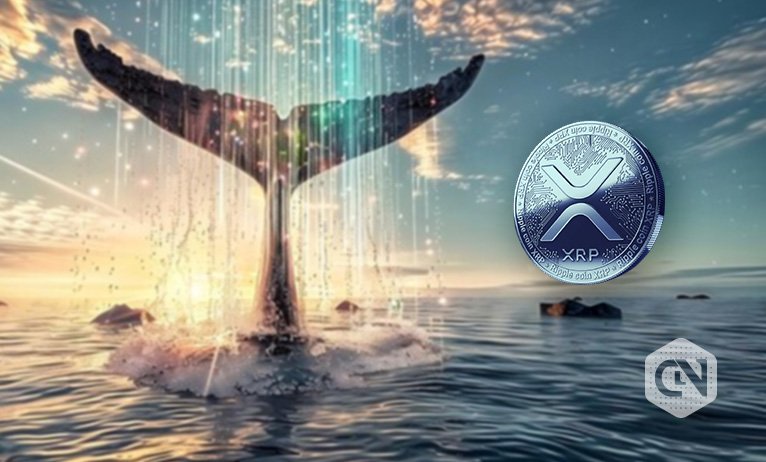 XRP loses buoyancy sooner as whales abandon